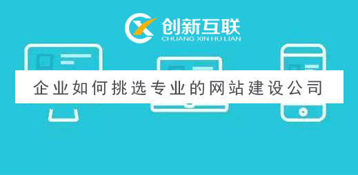 专业的网站建设公司