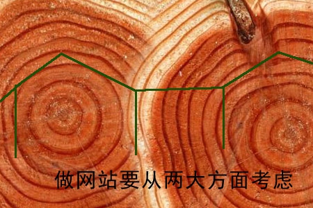 企业做网站要从两大方面着手考虑