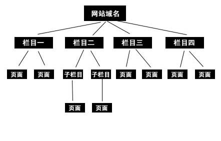 网站结构