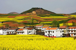 汉中网站建设