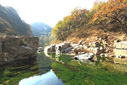 五莲网站建设